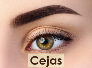 cejas